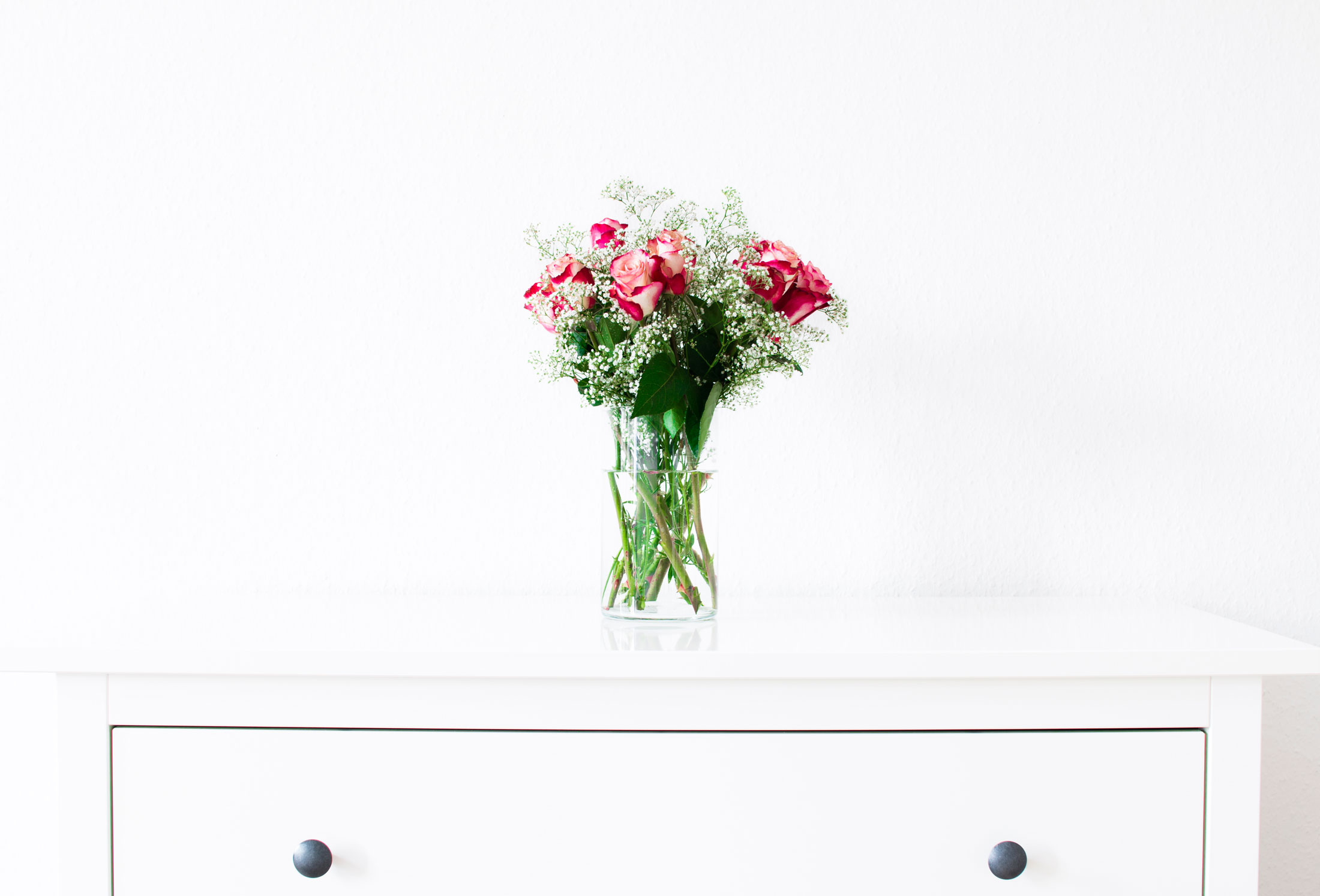 foto por Leonardo Wong (unsplash.com/@nardoleo)